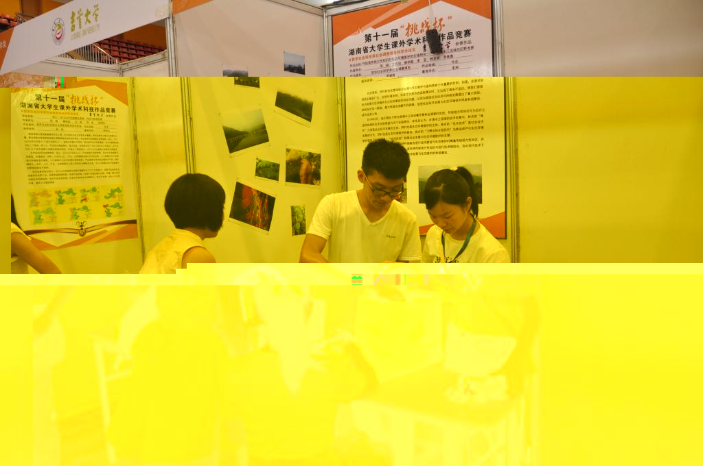 成員正在布展
