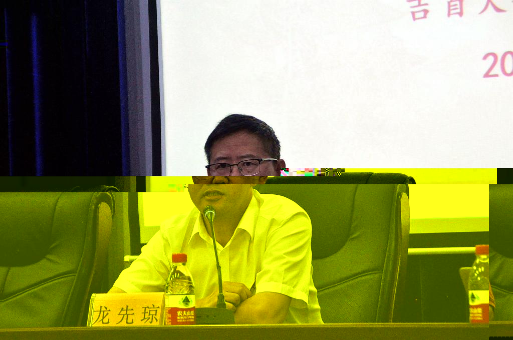 圖為龍先瓊副校長講話