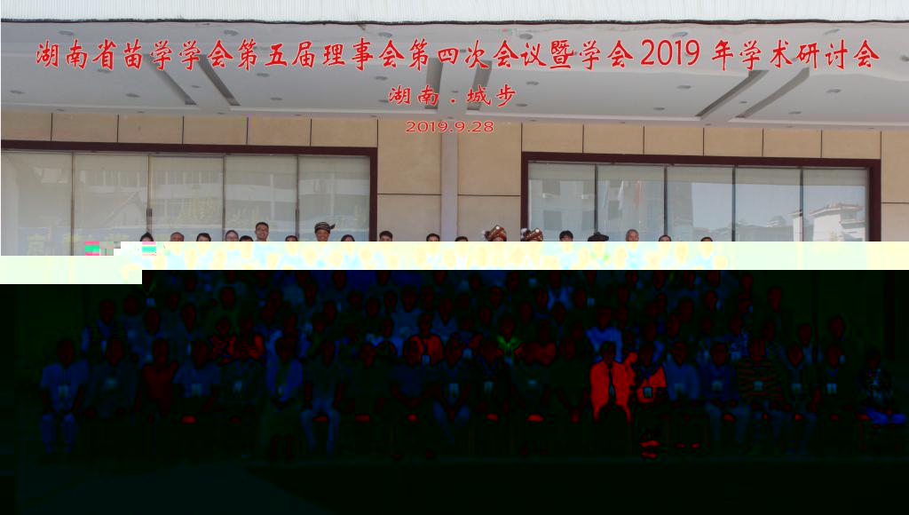 圖為湖南省苗學學會2019年學術研讨會與會代表合影