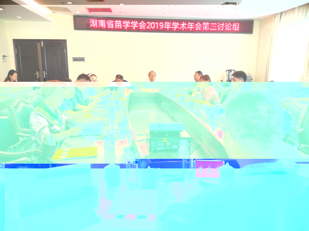 圖為專題發言現場