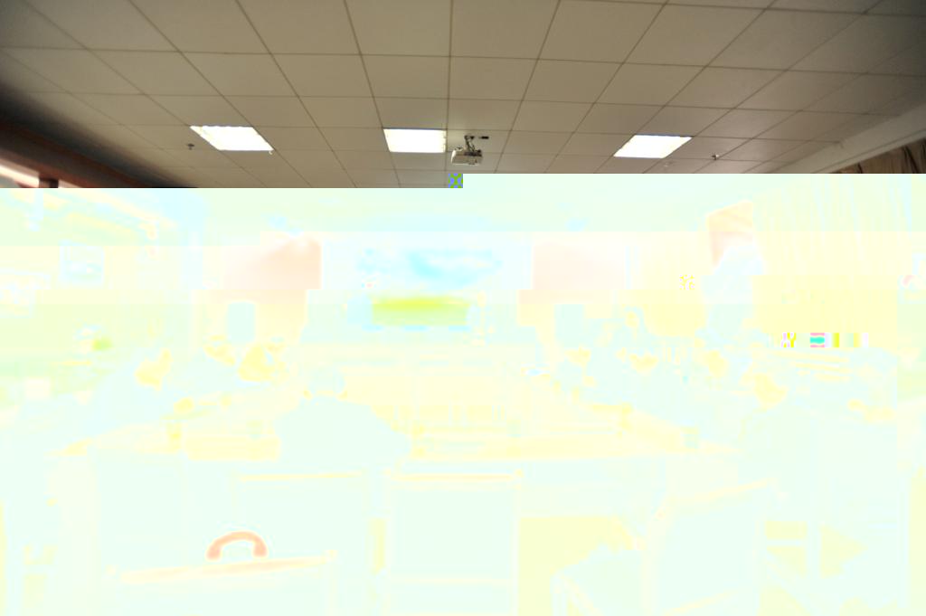 圖為小組發言和讨論現場