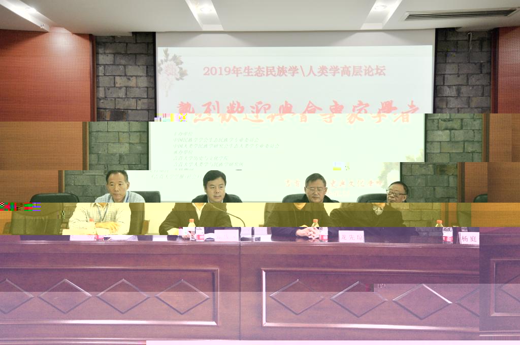 圖為國家民委理論政策研究室副主任張俊豪發言